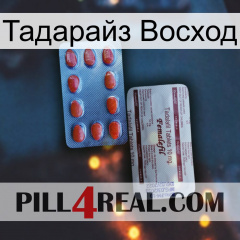 Тадарайз Восход 36